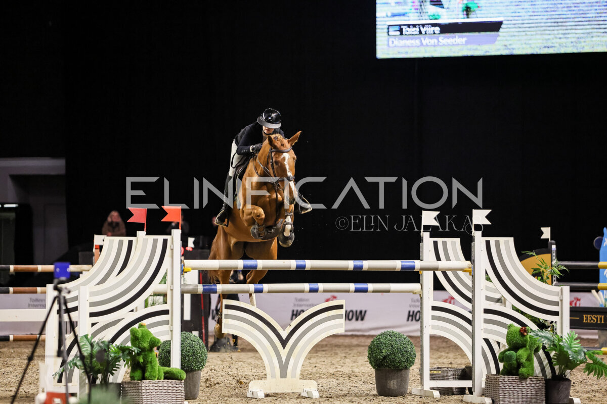 TIHS_2026_Prix-de-Alexela_180