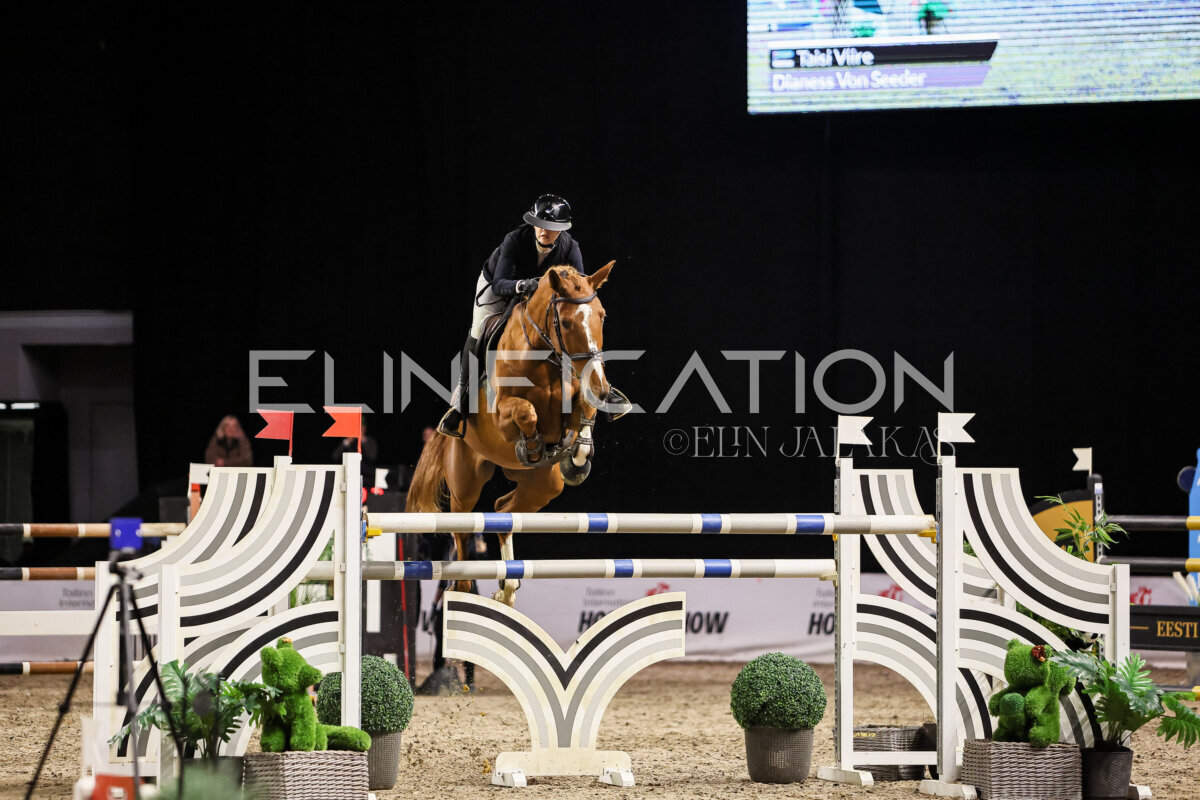 TIHS_2026_Prix-de-Alexela_181