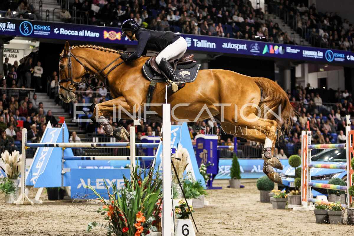 TIHS_2026_Prix-de-Alexela_187