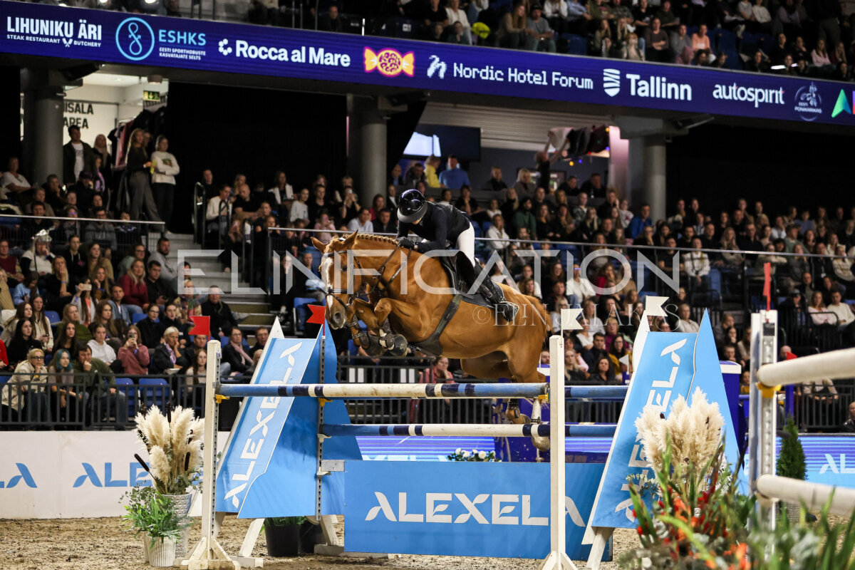 TIHS_2026_Prix-de-Alexela_191