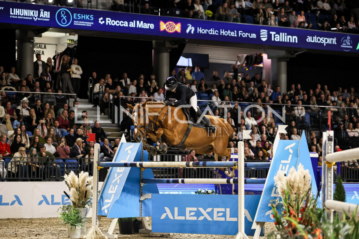 TIHS_2026_Prix-de-Alexela_192