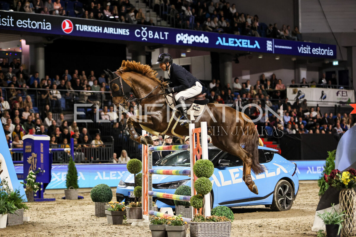 TIHS_2026_Prix-de-Alexela_248