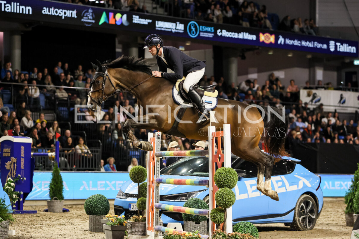 TIHS_2026_Prix-de-Alexela_318
