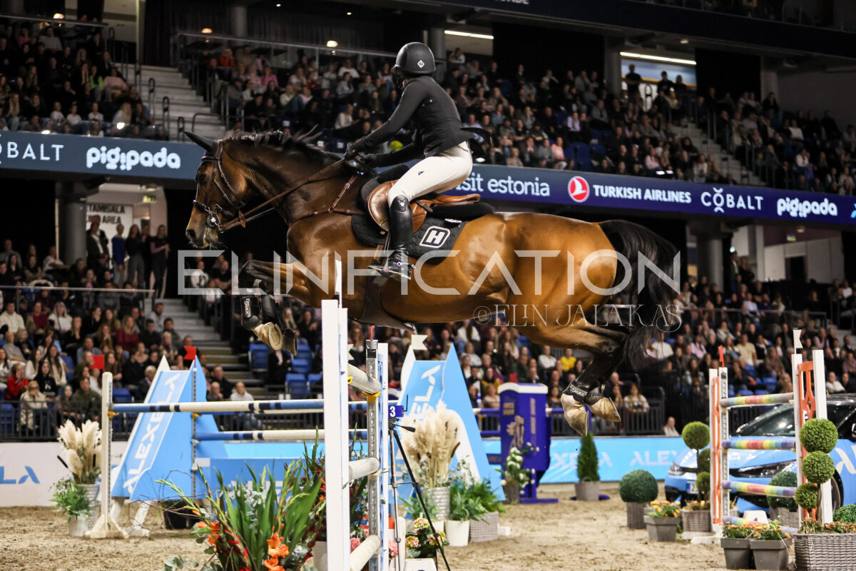 TIHS_2026_Prix-de-Alexela_355