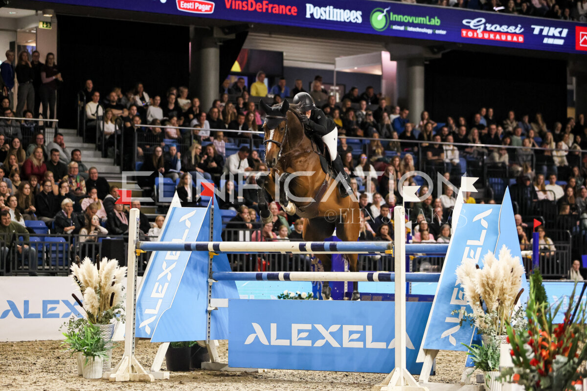 TIHS_2026_Prix-de-Alexela_359