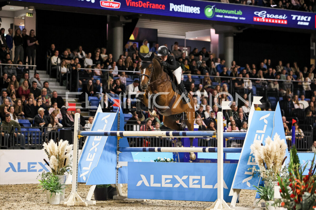 TIHS_2026_Prix-de-Alexela_360