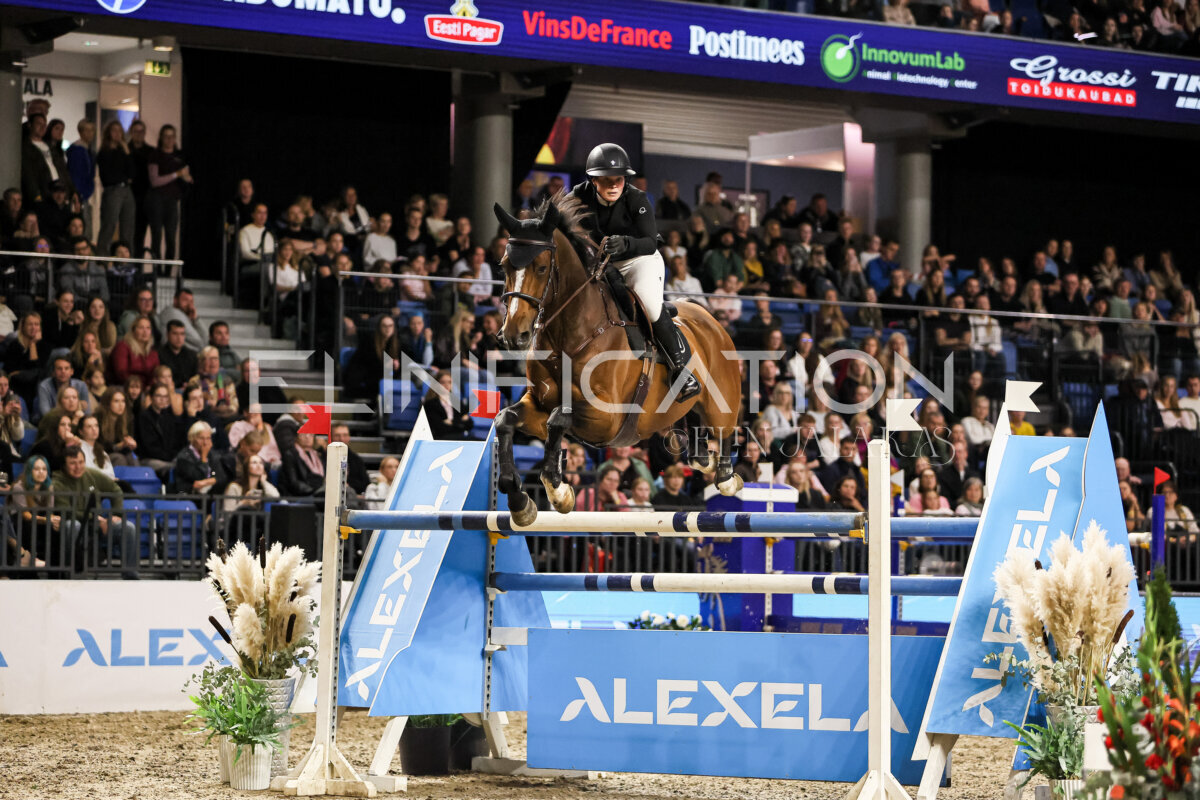 TIHS_2026_Prix-de-Alexela_363