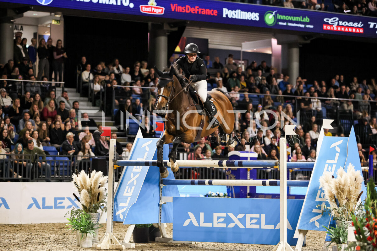 TIHS_2026_Prix-de-Alexela_364